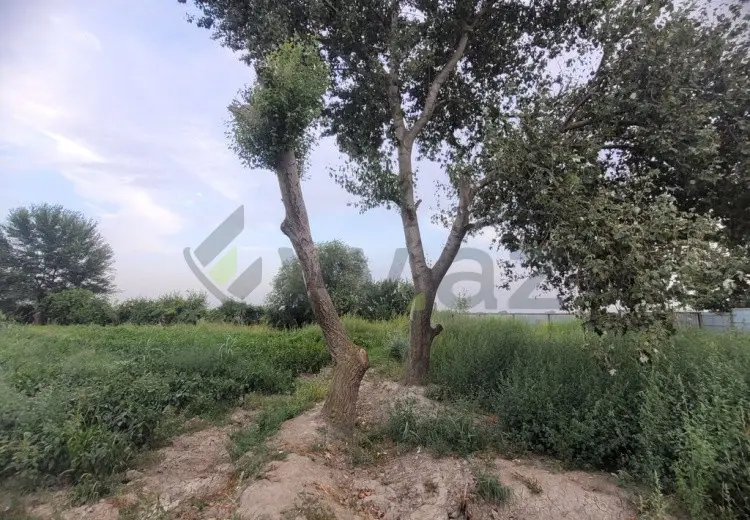 35 sot Torpaq Satılır, Şirvan