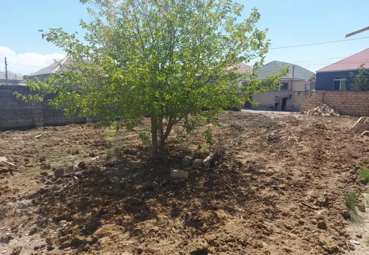 4 sot Torpaq Satılır, Saray, Abşeron