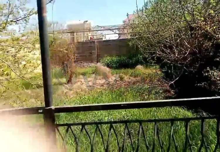 4 sot Torpaq Satılır, Şirvan