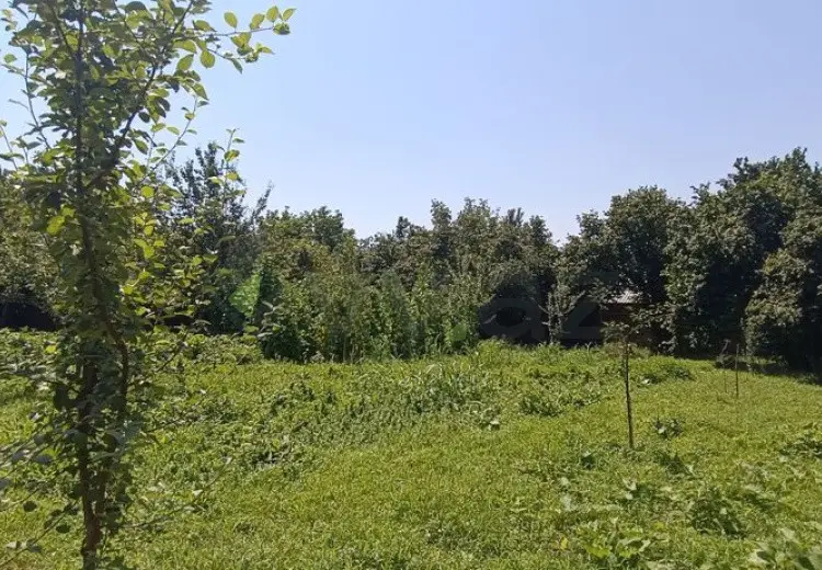 15 sot Torpaq Satılır, Qəbələ