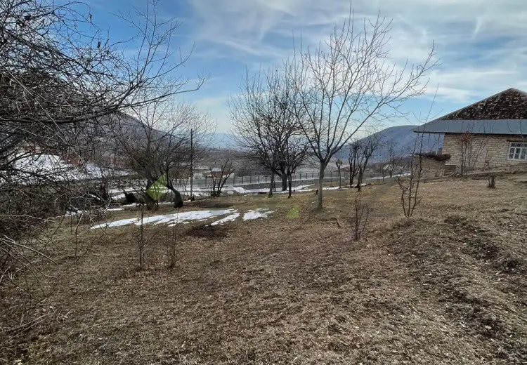 7 sot Torpaq Satılır, Şəki