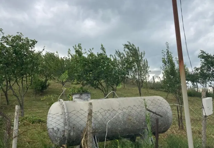 12 sot Torpaq Satılır, Şamaxı