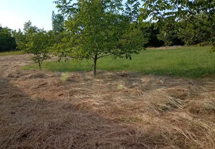 20 sot Torpaq Satılır, Ağdaş