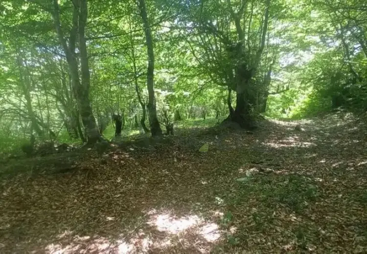 12 sot Torpaq Satılır, İsmayıllı