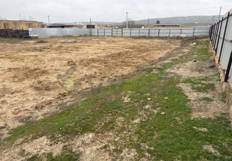 12 sot Torpaq Satılır, Şirvan