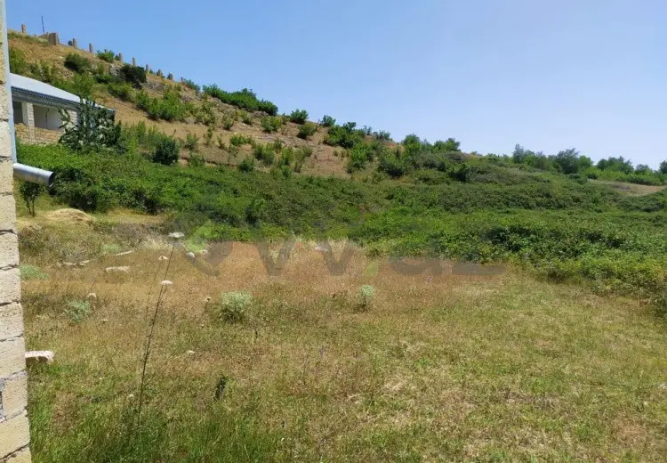 10 sot Torpaq Satılır, Şamaxı
