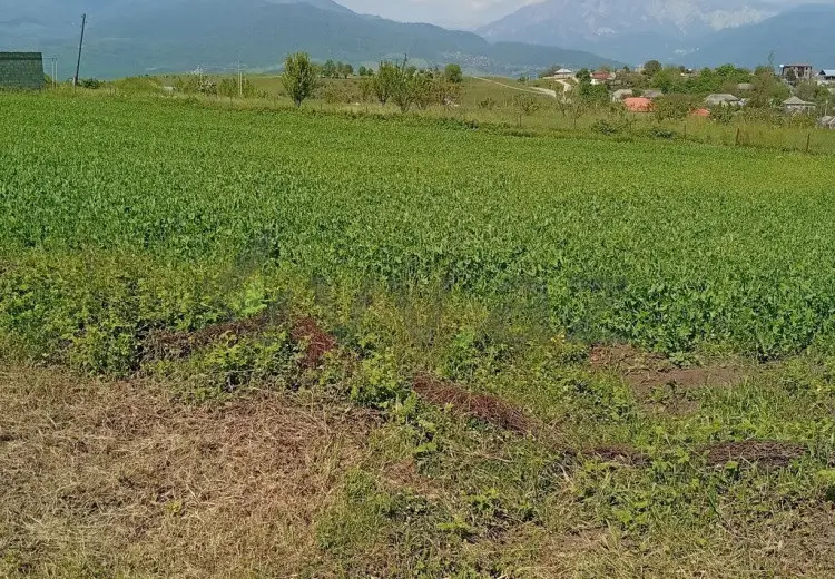 12 sot Torpaq Satılır, İsmayıllı