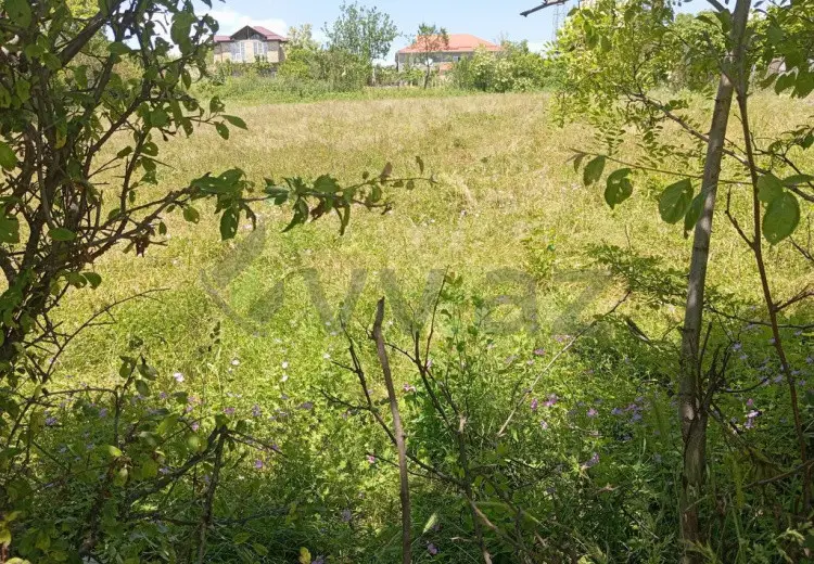 20 sot Torpaq Satılır, Qusar