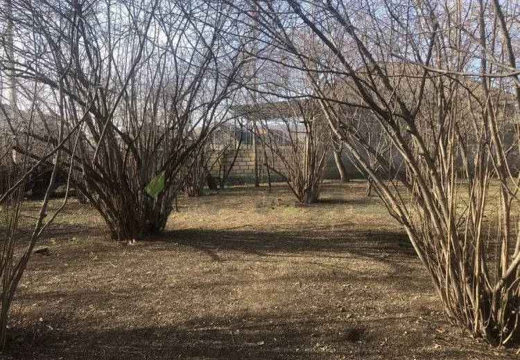 6 sot Torpaq Satılır, Oğuz