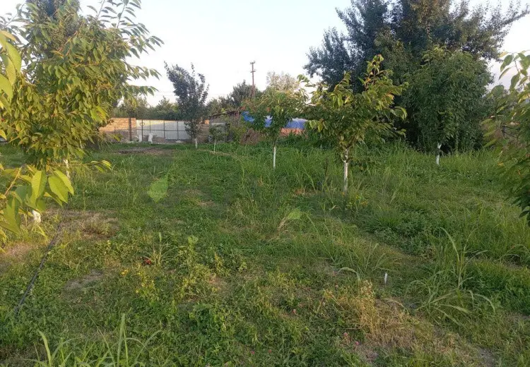 10 sot Torpaq Satılır, Quba