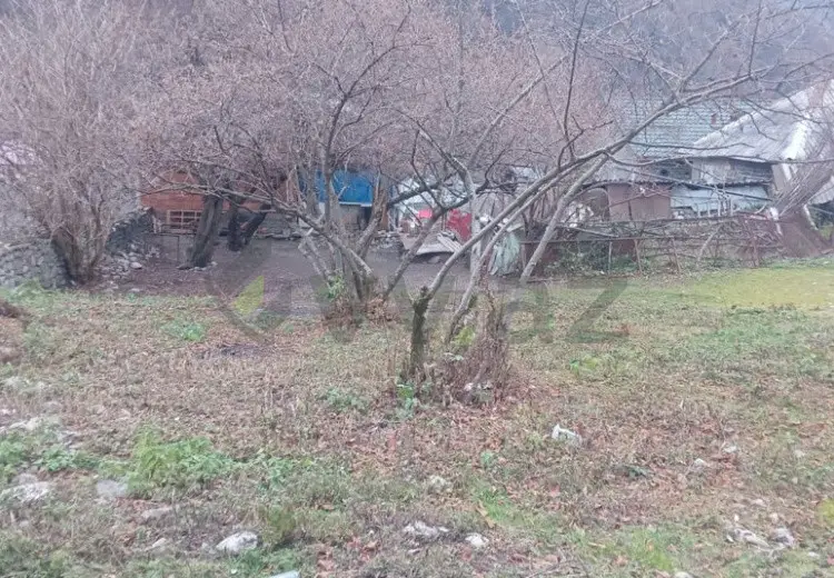10 sot Torpaq Satılır, Qax