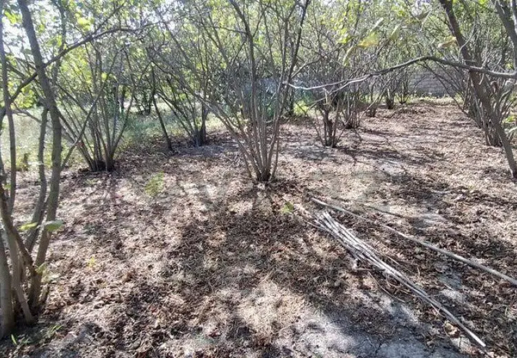 3 otaqlı mənzil Satılır, Xaçmaz