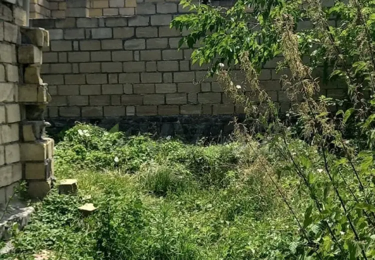 5 sot Torpaq Satılır, Qəbələ