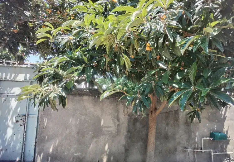 4 otaqlı mənzil Satılır, Mingəçevir