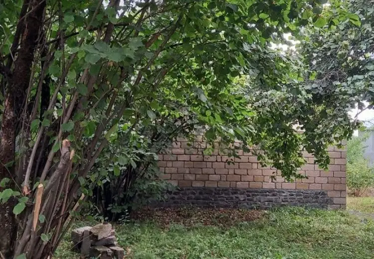 5 sot Torpaq Satılır, Qəbələ