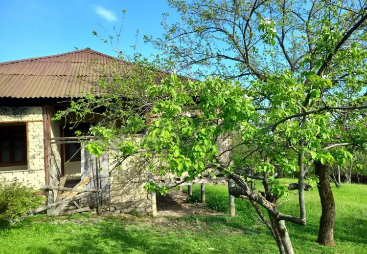 3 otaqlı mənzil Satılır, Qəbələ