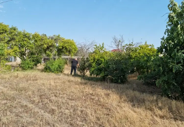 34 sot Torpaq Satılır, Qurd dərəsi, Sumqayıt