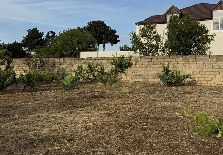 2 sot Torpaq Satılır, Novxanı, Abşeron