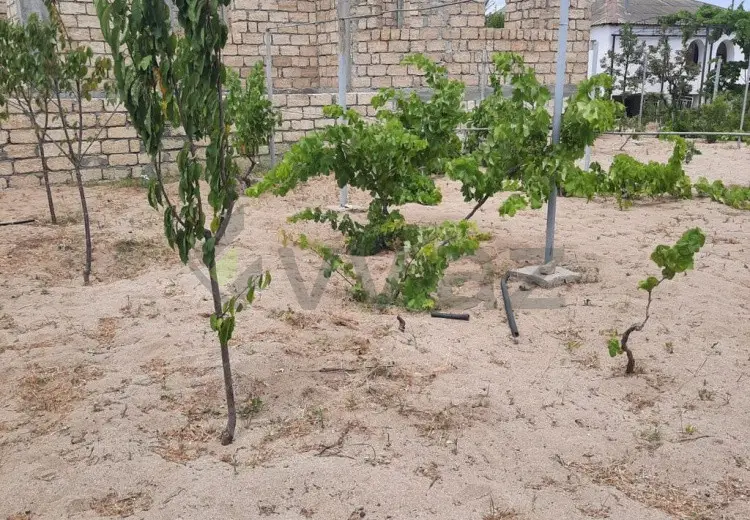 10 sot Torpaq Satılır, Novxanı, Abşeron