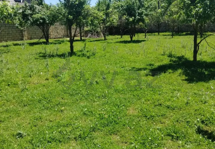 4 sot Torpaq Satılır, Quba