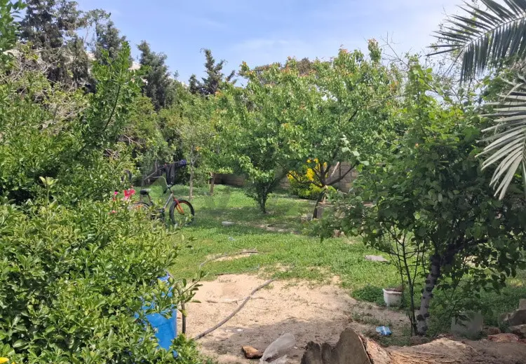 19 sot Torpaq Satılır, Corat köhnə , Sumqayıt
