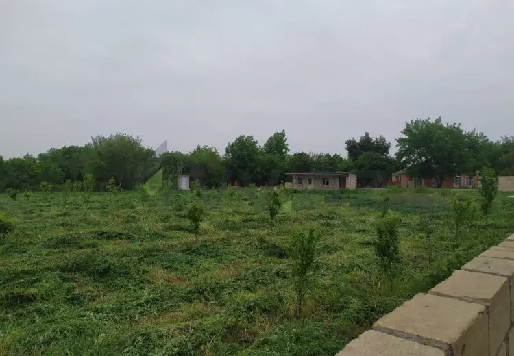 40 sot Torpaq Satılır, Tərtər