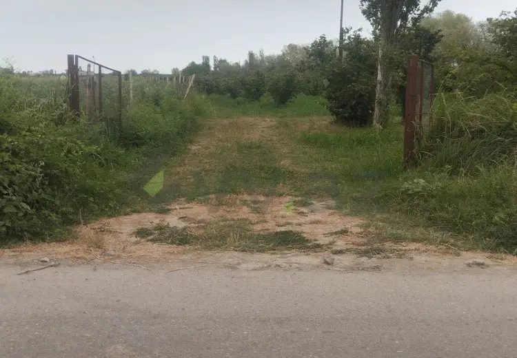 157 sot Torpaq Satılır, Xaçmaz