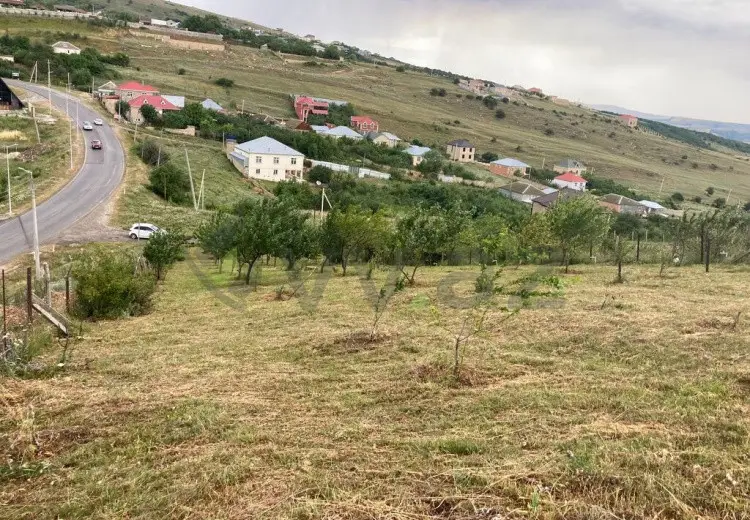 12 sot Torpaq Satılır, Şamaxı