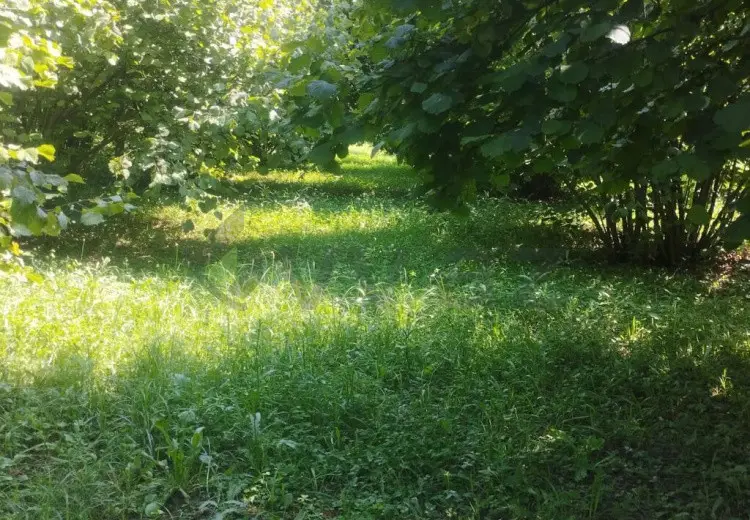 24 sot Torpaq Satılır, Zaqatala