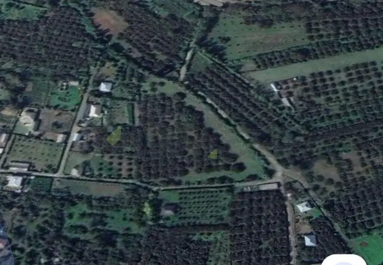 150 sot Torpaq Satılır, Balakən