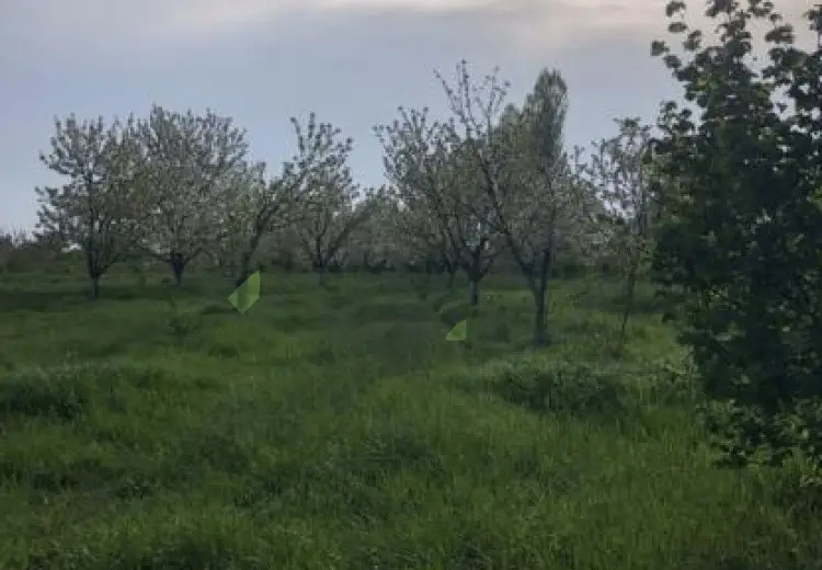 48 sot Torpaq Satılır, Xaçmaz