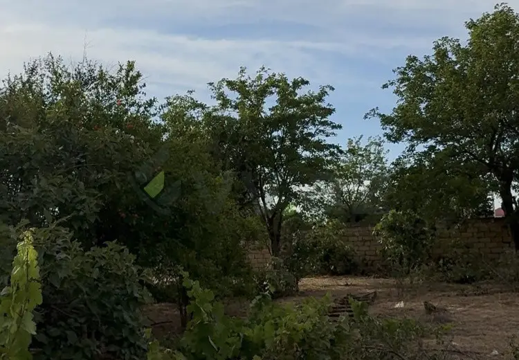 2 sot Torpaq Satılır, Novxanı, Abşeron