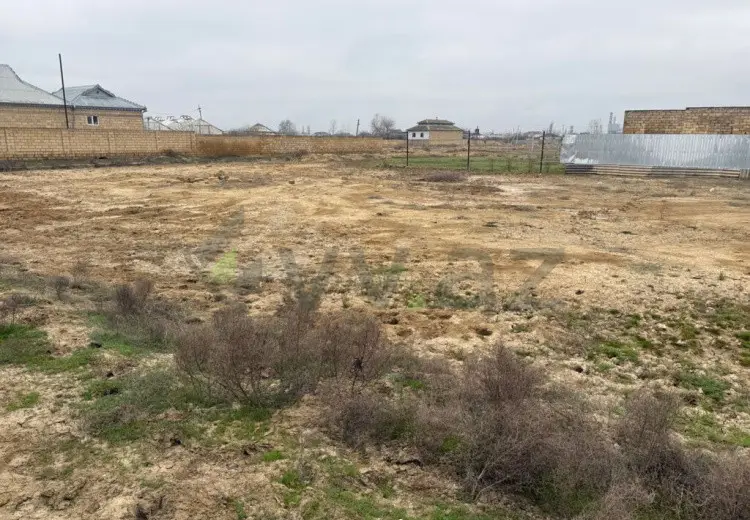 12 sot Torpaq Satılır, Şirvan