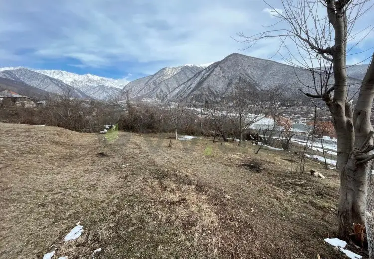 7 sot Torpaq Satılır, Şəki
