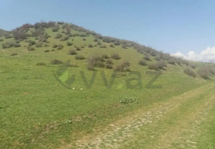 19 sot Torpaq Satılır, İsmayıllı