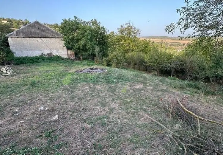 22 sot Torpaq Satılır, Şabran