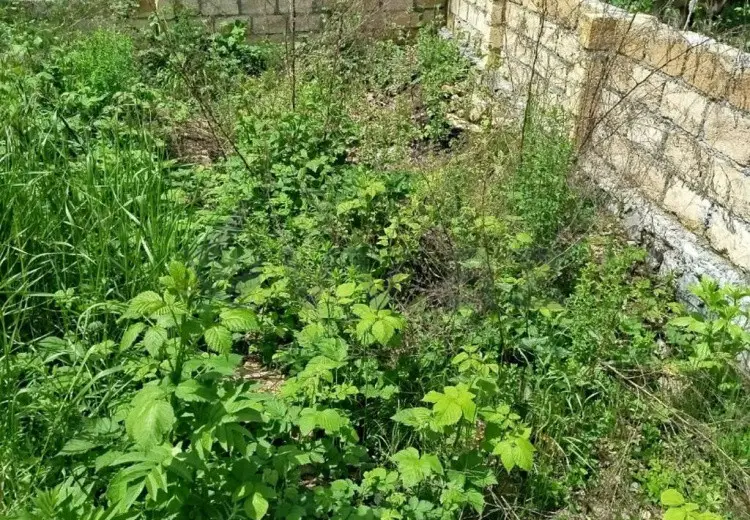3 sot Torpaq Satılır, Qəbələ