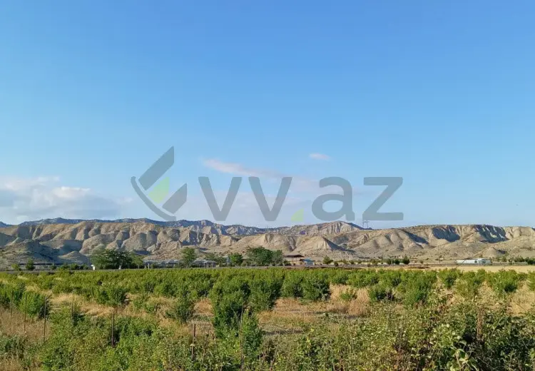 200 sot Torpaq Satılır, Göyçay