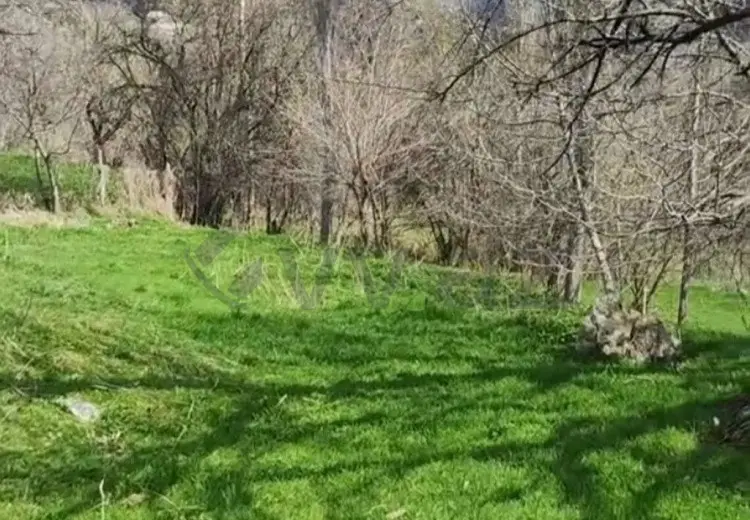 32 sot Torpaq Satılır, Tovuz