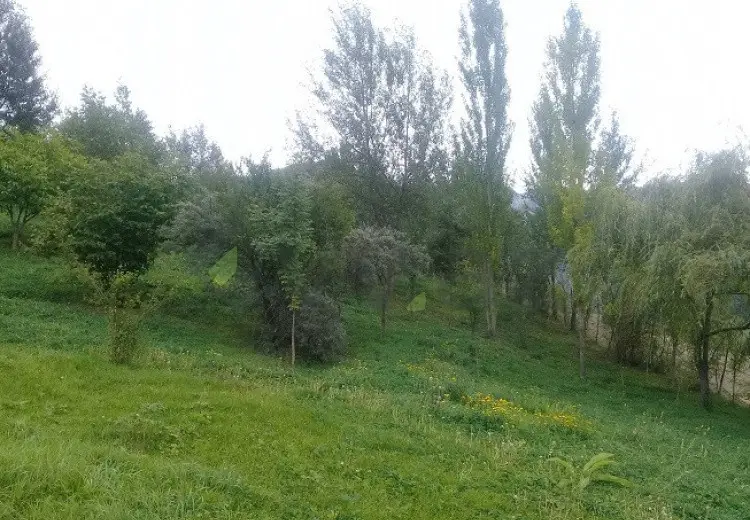16 sot Torpaq Satılır, İsmayıllı