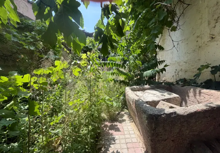 5 sot Torpaq Satılır, Qaraçuxur qəs., Suraxanı, Bakı