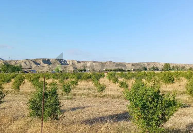 200 sot Torpaq Satılır, Göyçay