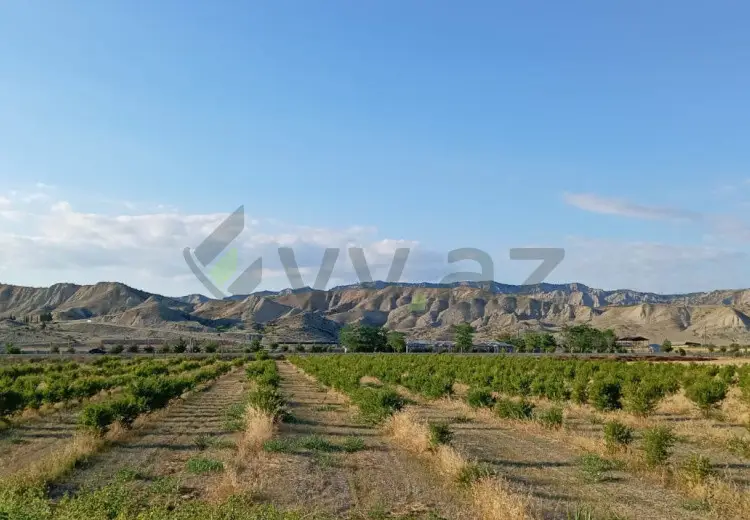 200 sot Torpaq Satılır, Göyçay