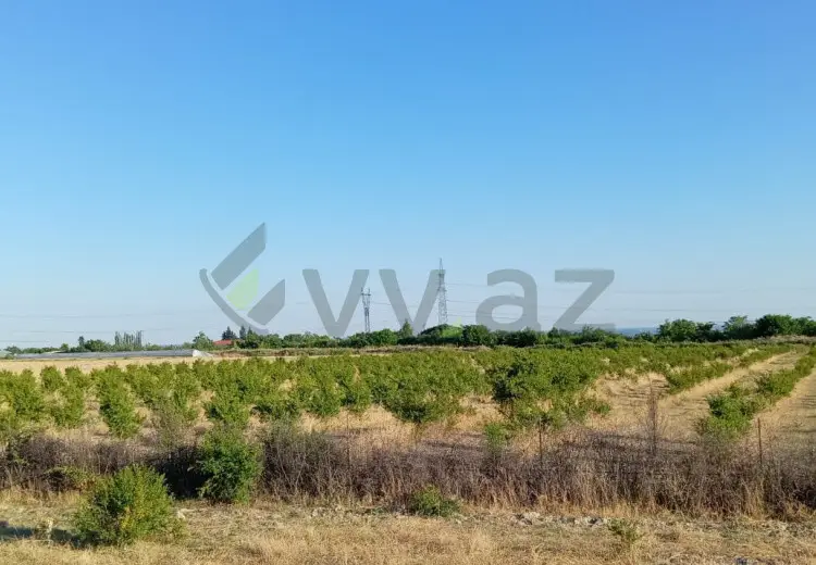 200 sot Torpaq Satılır, Göyçay