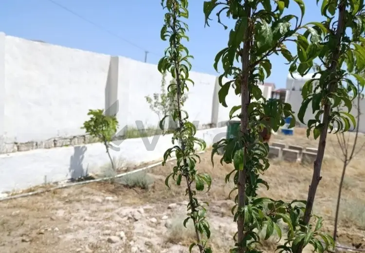 10 sot Torpaq Satılır, Türkan, Xəzər, Bakı