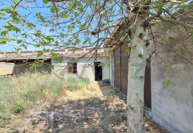 15.5 sot Torpaq Satılır, Masazır, Abşeron
