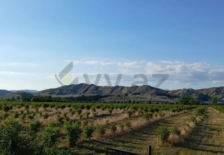200 sot Torpaq Satılır, Göyçay