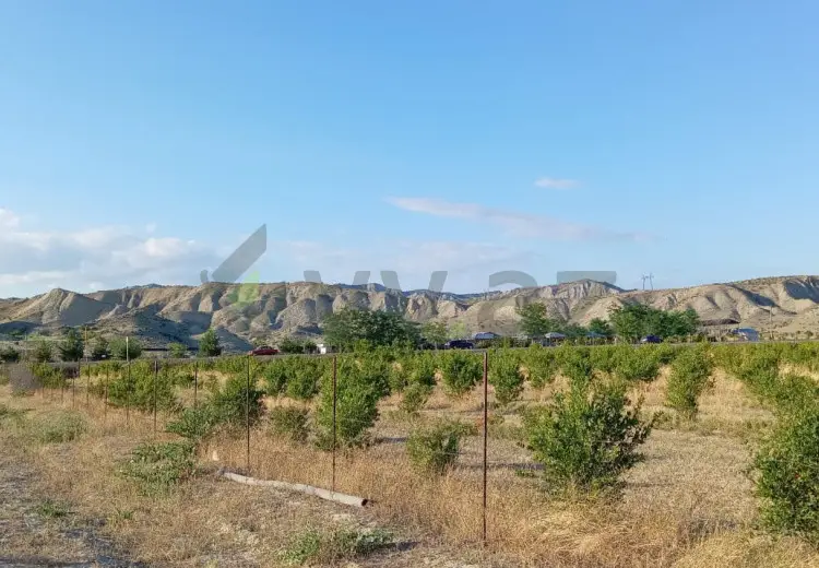 200 sot Torpaq Satılır, Göyçay