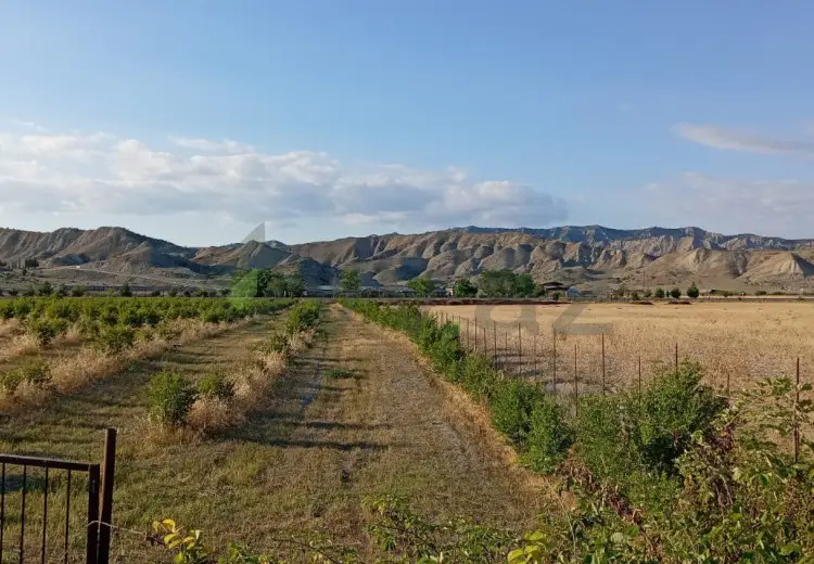 200 sot Torpaq Satılır, Göyçay