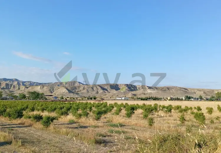 200 sot Torpaq Satılır, Göyçay